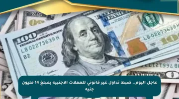 عاجل اليوم.. ضبط تداول غير قانوني للعملات الأجنبية بمبلغ 14 مليون جنيه